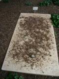 image of grave number 595770